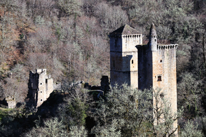 Réparation dégât des eaux Castelnau-le-Lez